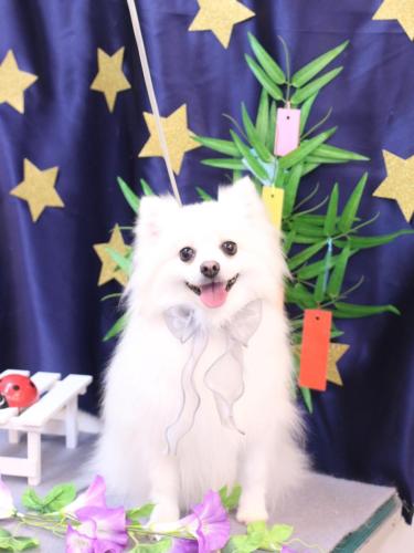 20230730ゆずちゃん